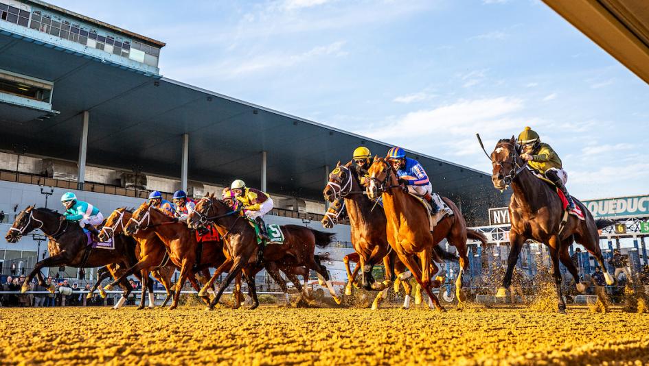 ABR Sunday Selections: Full-Card Picks for Dec. 14 at Aqueduct